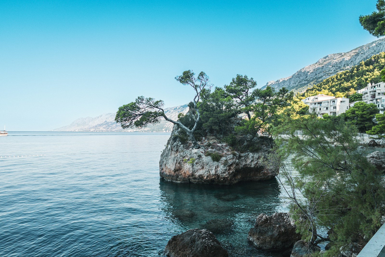 Rocky island with trees on the coast